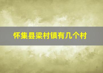 怀集县梁村镇有几个村