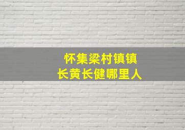 怀集梁村镇镇长黄长健哪里人