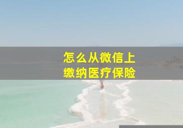 怎么从微信上缴纳医疗保险