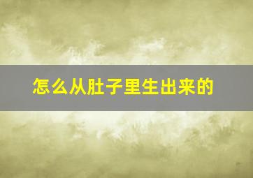 怎么从肚子里生出来的