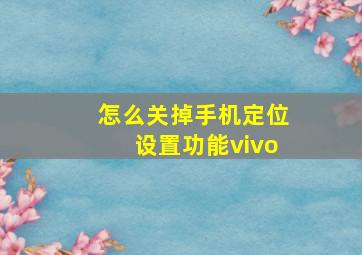 怎么关掉手机定位设置功能vivo