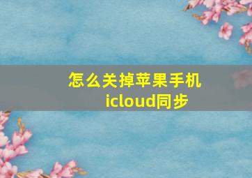 怎么关掉苹果手机icloud同步