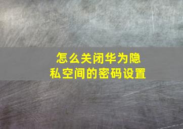 怎么关闭华为隐私空间的密码设置