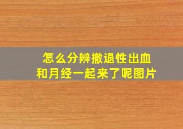 怎么分辨撤退性出血和月经一起来了呢图片