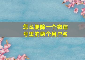 怎么删除一个微信号里的两个用户名