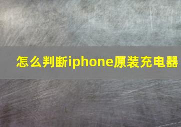 怎么判断iphone原装充电器