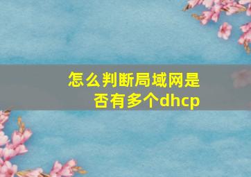 怎么判断局域网是否有多个dhcp