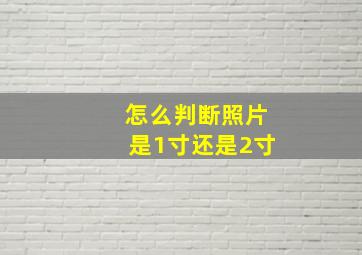 怎么判断照片是1寸还是2寸