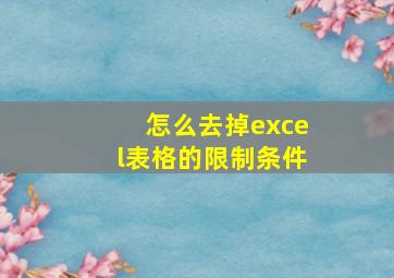 怎么去掉excel表格的限制条件