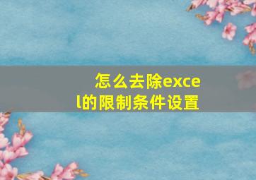 怎么去除excel的限制条件设置