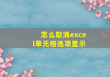 怎么取消excel单元格选项显示