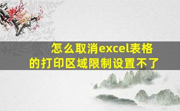 怎么取消excel表格的打印区域限制设置不了