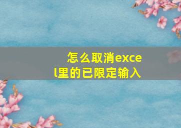 怎么取消excel里的已限定输入