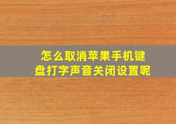 怎么取消苹果手机键盘打字声音关闭设置呢