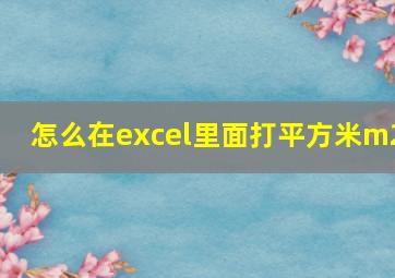 怎么在excel里面打平方米m2