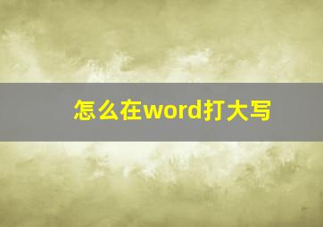 怎么在word打大写