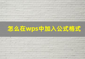 怎么在wps中加入公式格式