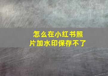 怎么在小红书照片加水印保存不了