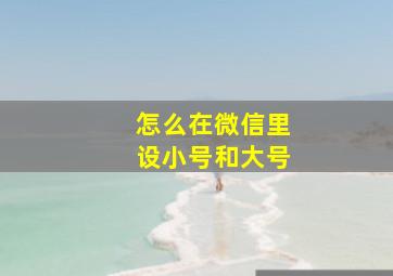 怎么在微信里设小号和大号