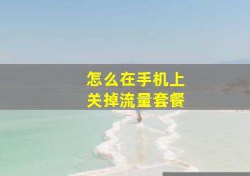 怎么在手机上关掉流量套餐