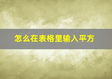 怎么在表格里输入平方