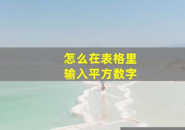 怎么在表格里输入平方数字