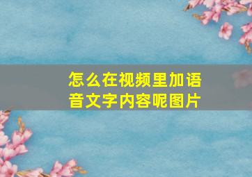 怎么在视频里加语音文字内容呢图片