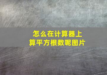 怎么在计算器上算平方根数呢图片