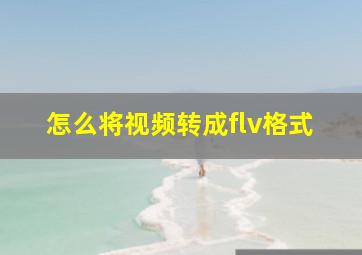 怎么将视频转成flv格式