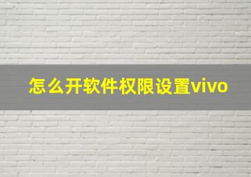 怎么开软件权限设置vivo