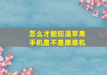 怎么才能知道苹果手机是不是原装机