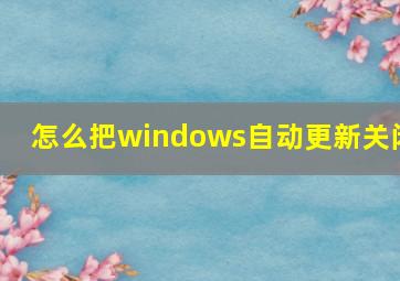 怎么把windows自动更新关闭