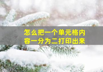 怎么把一个单元格内容一分为二打印出来