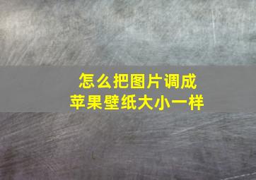 怎么把图片调成苹果壁纸大小一样