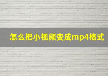 怎么把小视频变成mp4格式