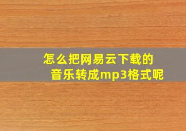 怎么把网易云下载的音乐转成mp3格式呢