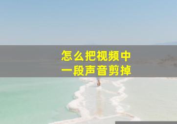 怎么把视频中一段声音剪掉