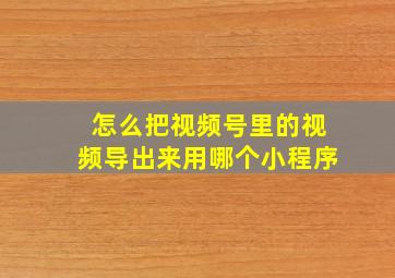 怎么把视频号里的视频导出来用哪个小程序