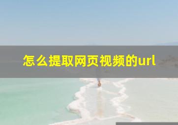 怎么提取网页视频的url