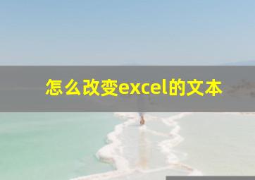 怎么改变excel的文本