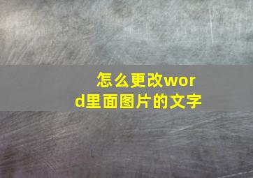 怎么更改word里面图片的文字