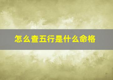 怎么查五行是什么命格