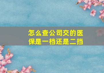 怎么查公司交的医保是一档还是二挡