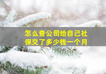 怎么查公司给自己社保交了多少钱一个月