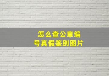 怎么查公章编号真假鉴别图片