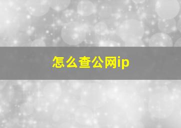 怎么查公网ip