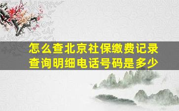 怎么查北京社保缴费记录查询明细电话号码是多少