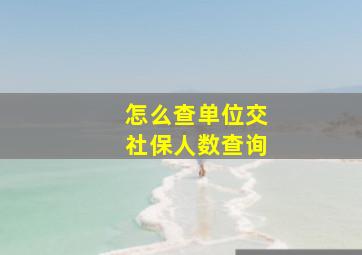 怎么查单位交社保人数查询