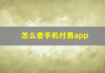 怎么查手机付费app