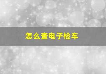 怎么查电子检车